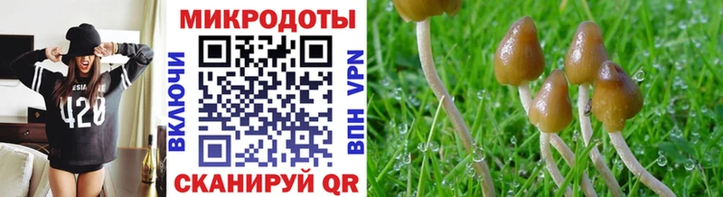 цена наркотик  Опочка  omg сайт  Псилоцибиновые грибы Cubensis 