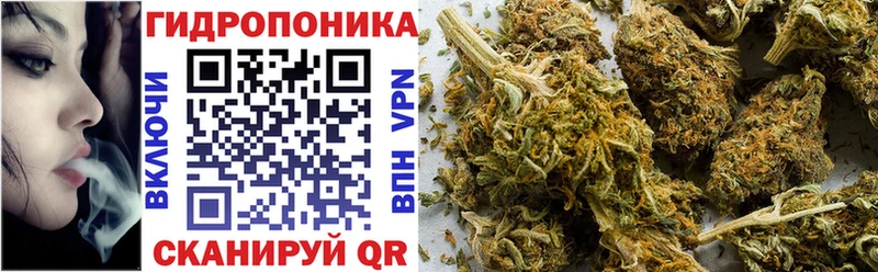 Бошки Шишки марихуана  Опочка 